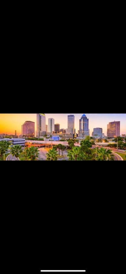 Bush Garden Park Nearby Apartments Tampa Exteriör bild